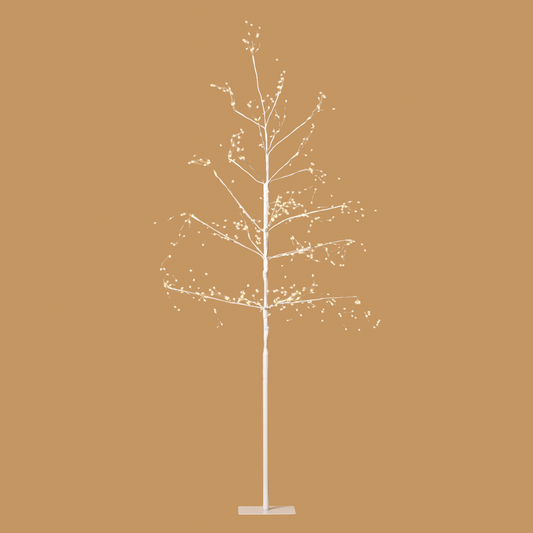 White Arctic Birch Tree