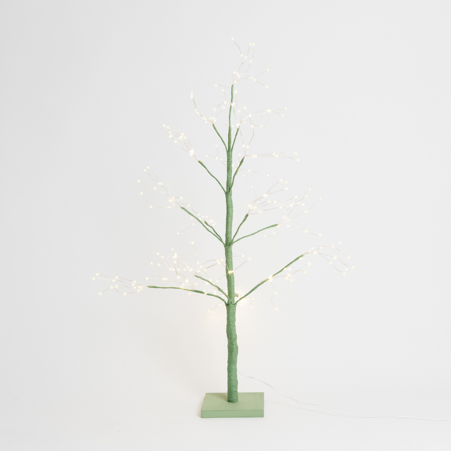 Green Arctic Birch Tree