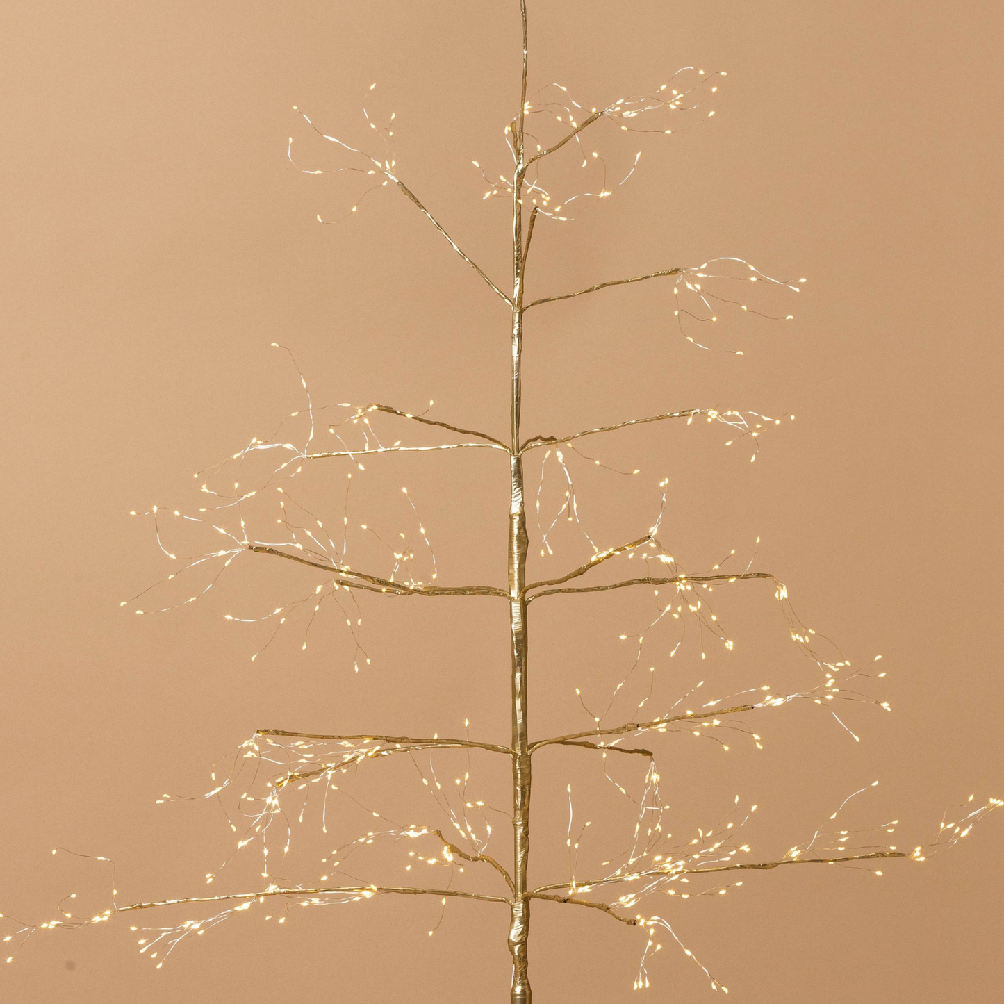 Champagne Arctic Birch Tree