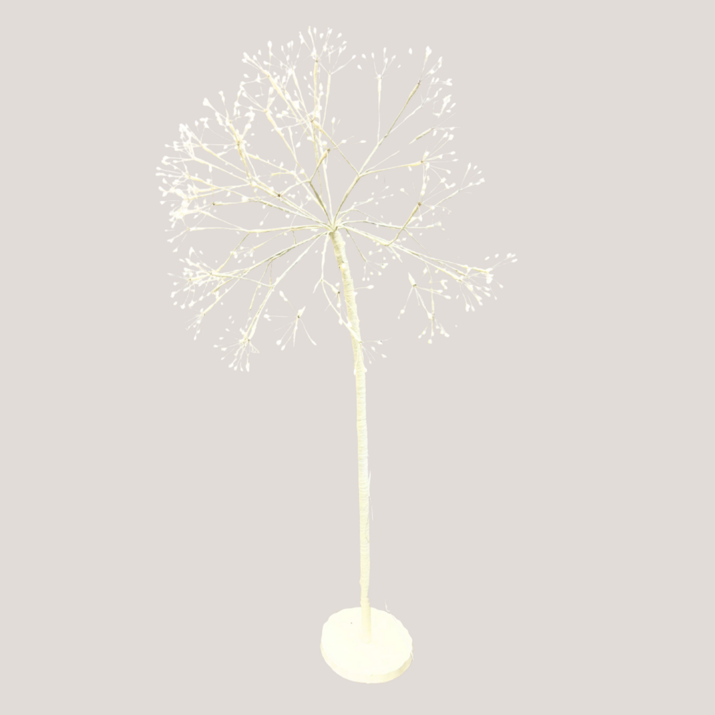 White Dandelion Tree