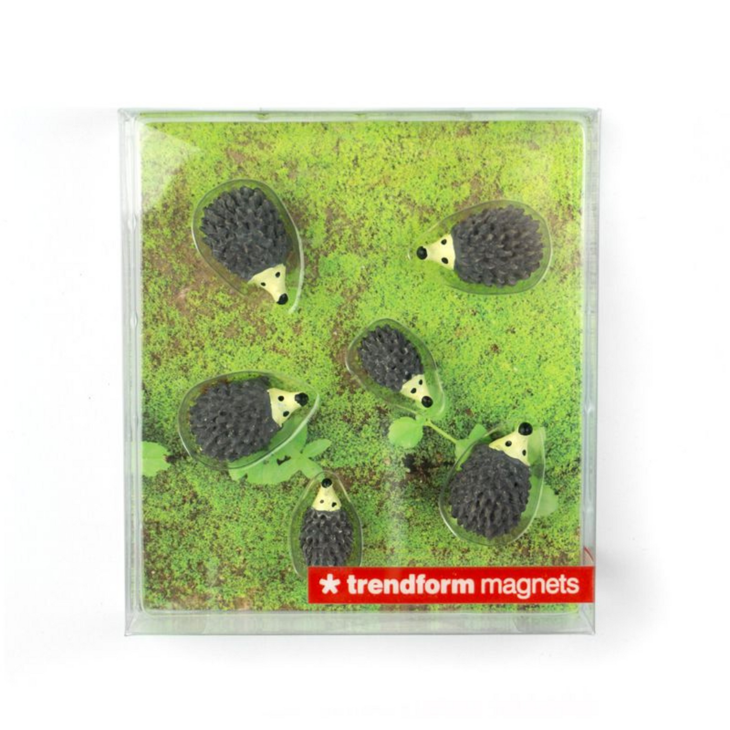 Hedgehog Magnets (set of 6 )