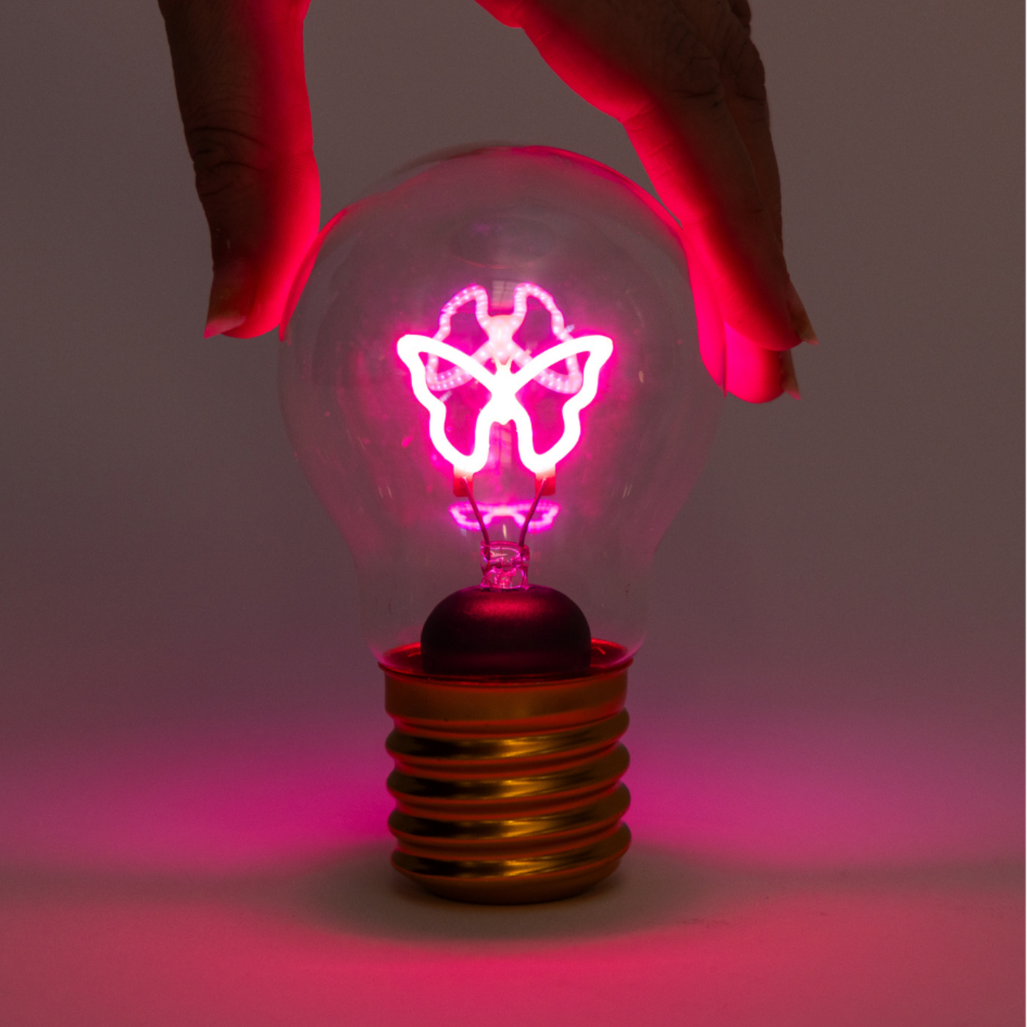 Pink Butterfly Lightbulb Lamp USB Recharge