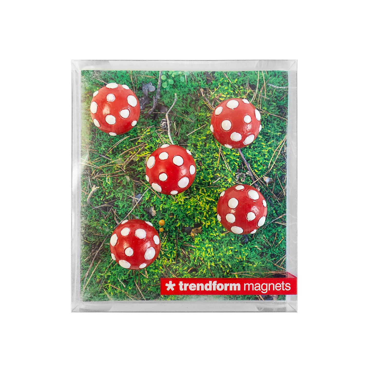 Toadstool Magnets red/white (set of 5)