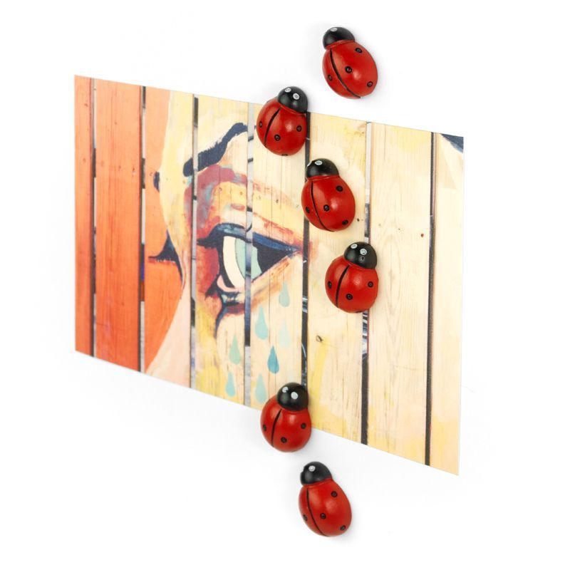 Ladybug Magnets (set of 6)