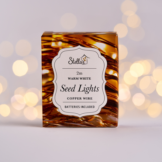 2m Copper Warm White 20 LED Seed Lights