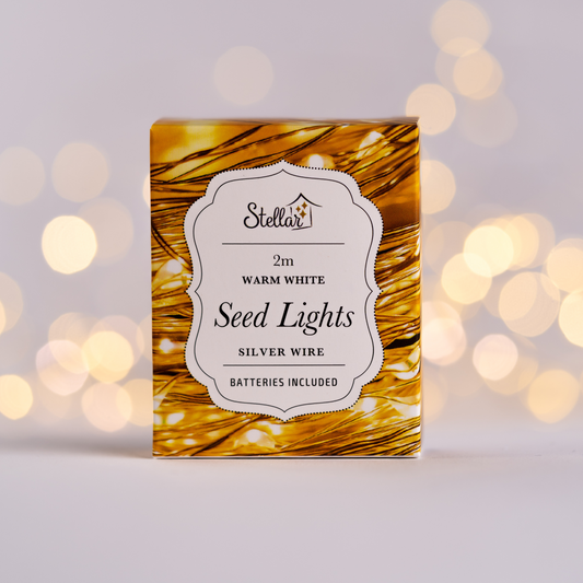 2m Silver Warm White 20 LED Seed Lights String