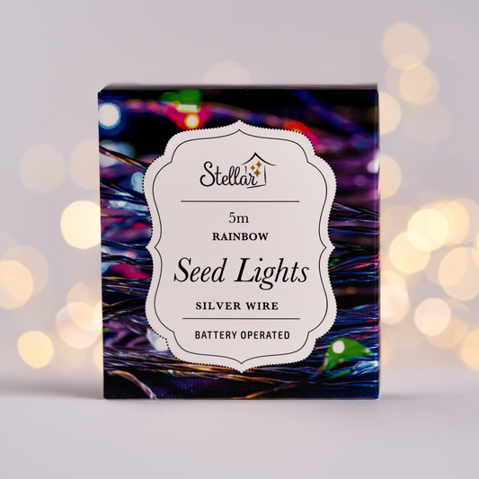 5m AA Silver Rainbow 50 LED Wire Seed Lights