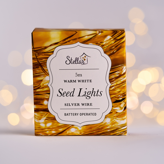 5m AA Silver Warm White 50 LED Wire Seed Lights