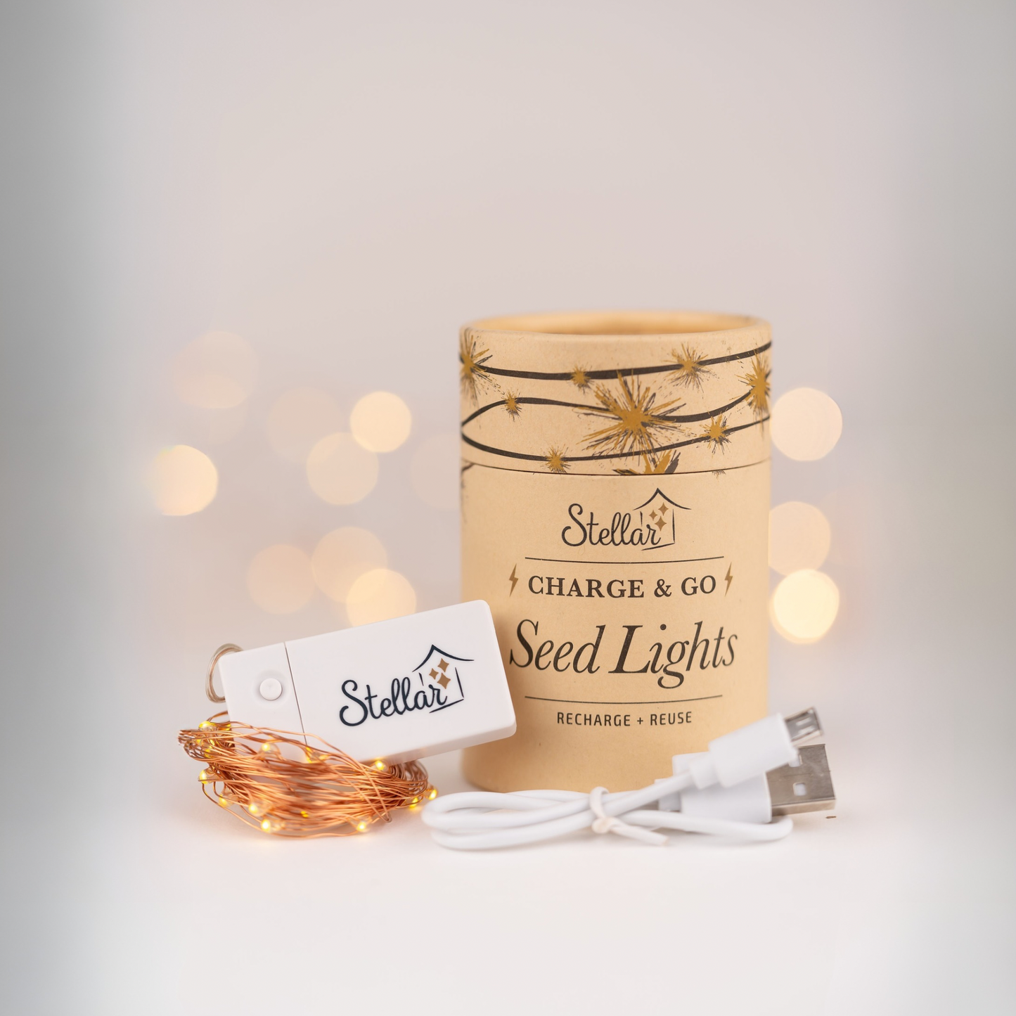 Charge & Go. Rechargeable Copper Wire Seed Lights