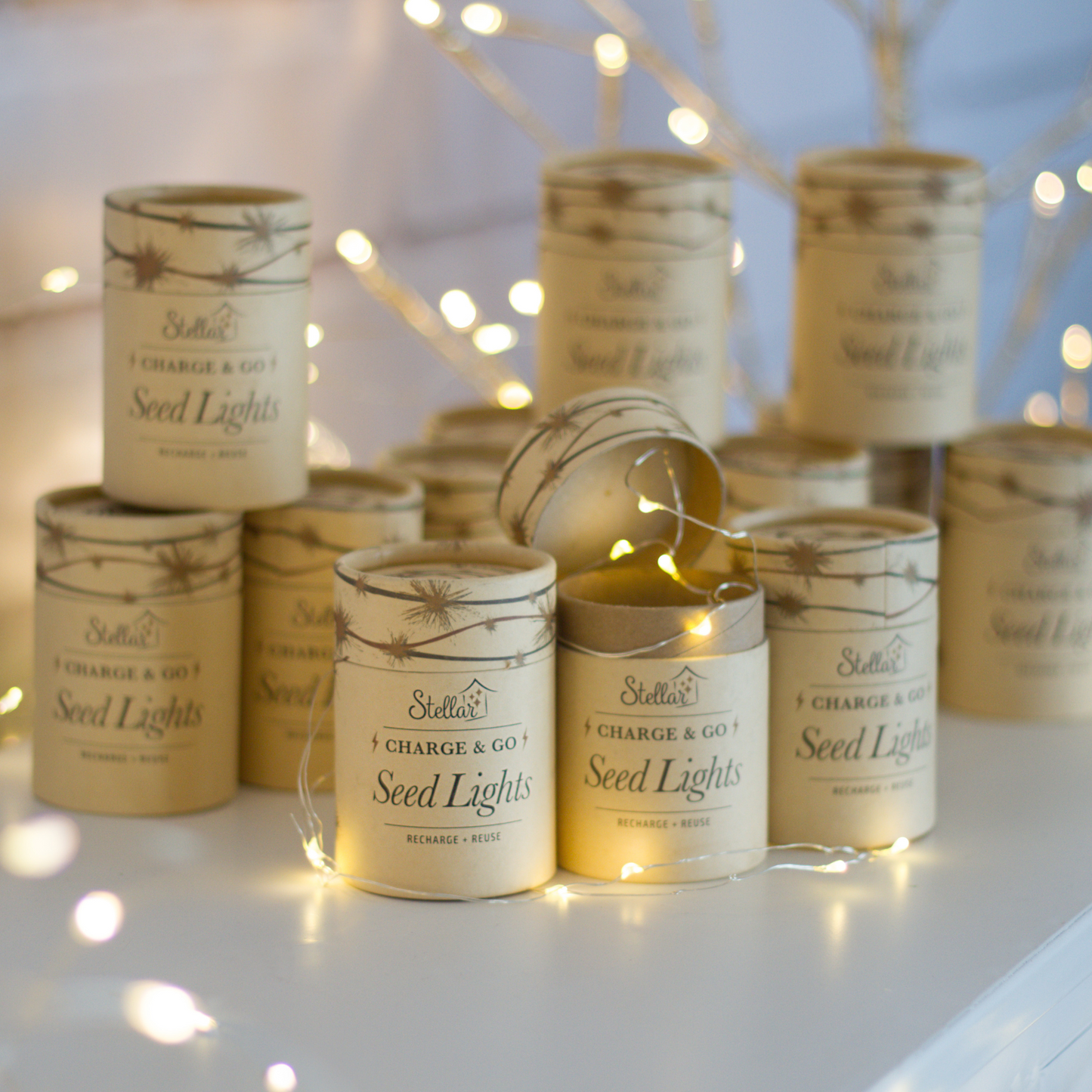 Charge & Go. Rechargeable Silver Wire Seed Lights