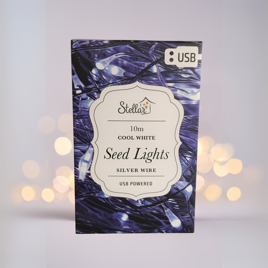10m Silver Cool White Light String USB