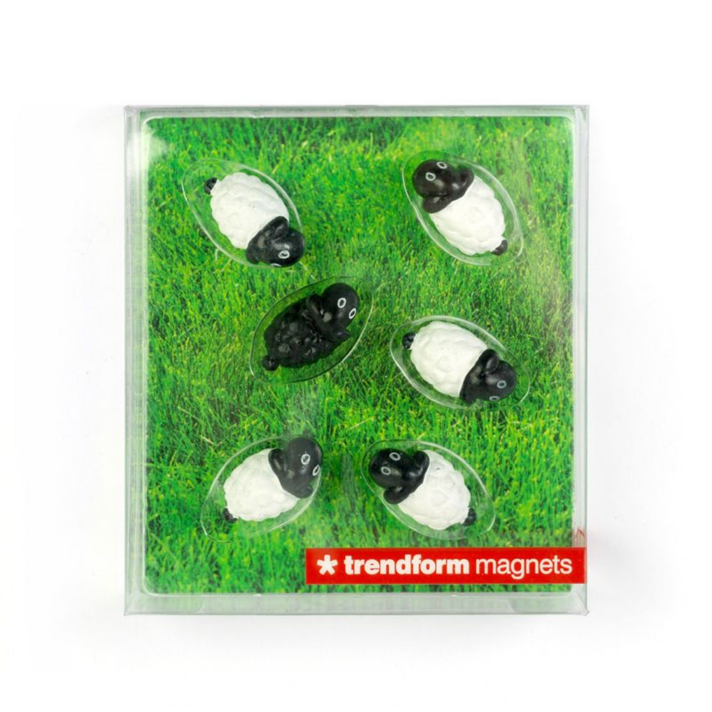 Sheep Magnets (set of 6)