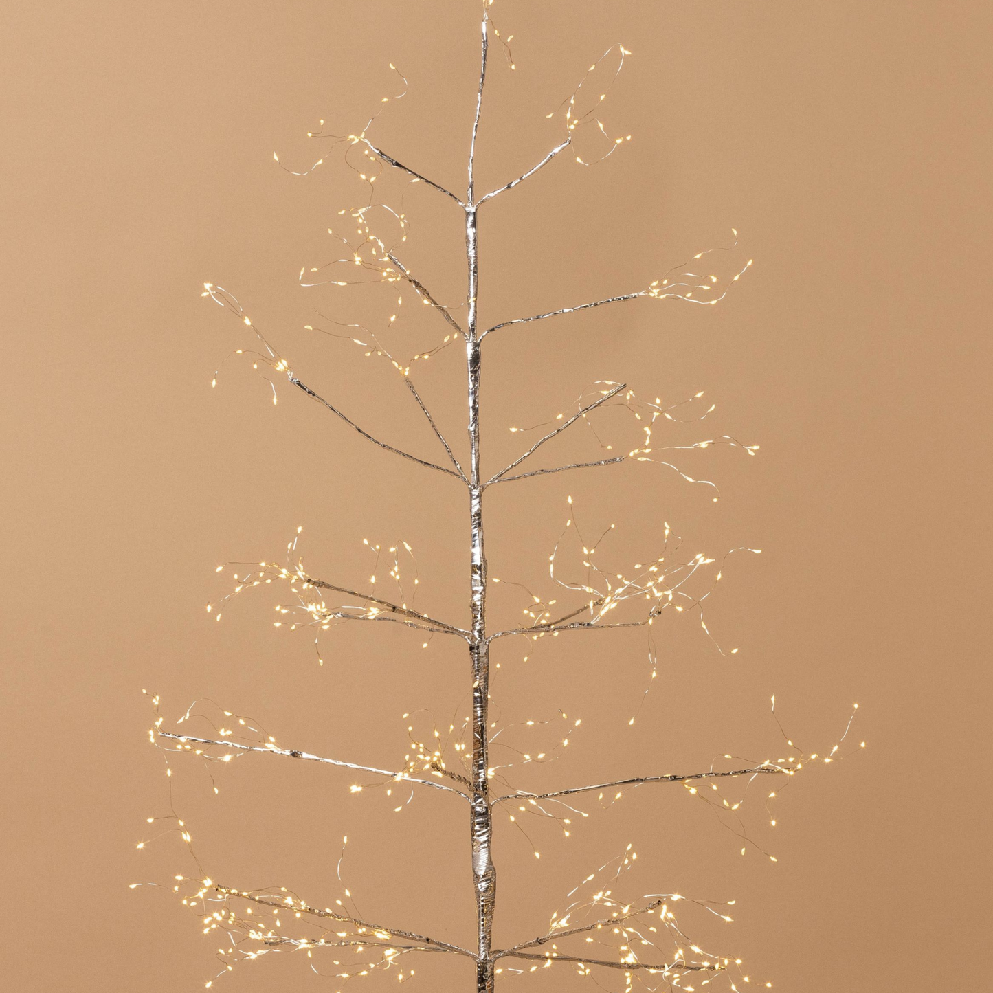 Silver Arctic Birch Tree