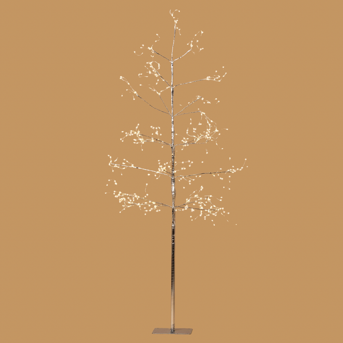 Silver Arctic Birch Tree