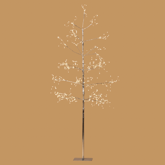 Silver Arctic Birch Tree