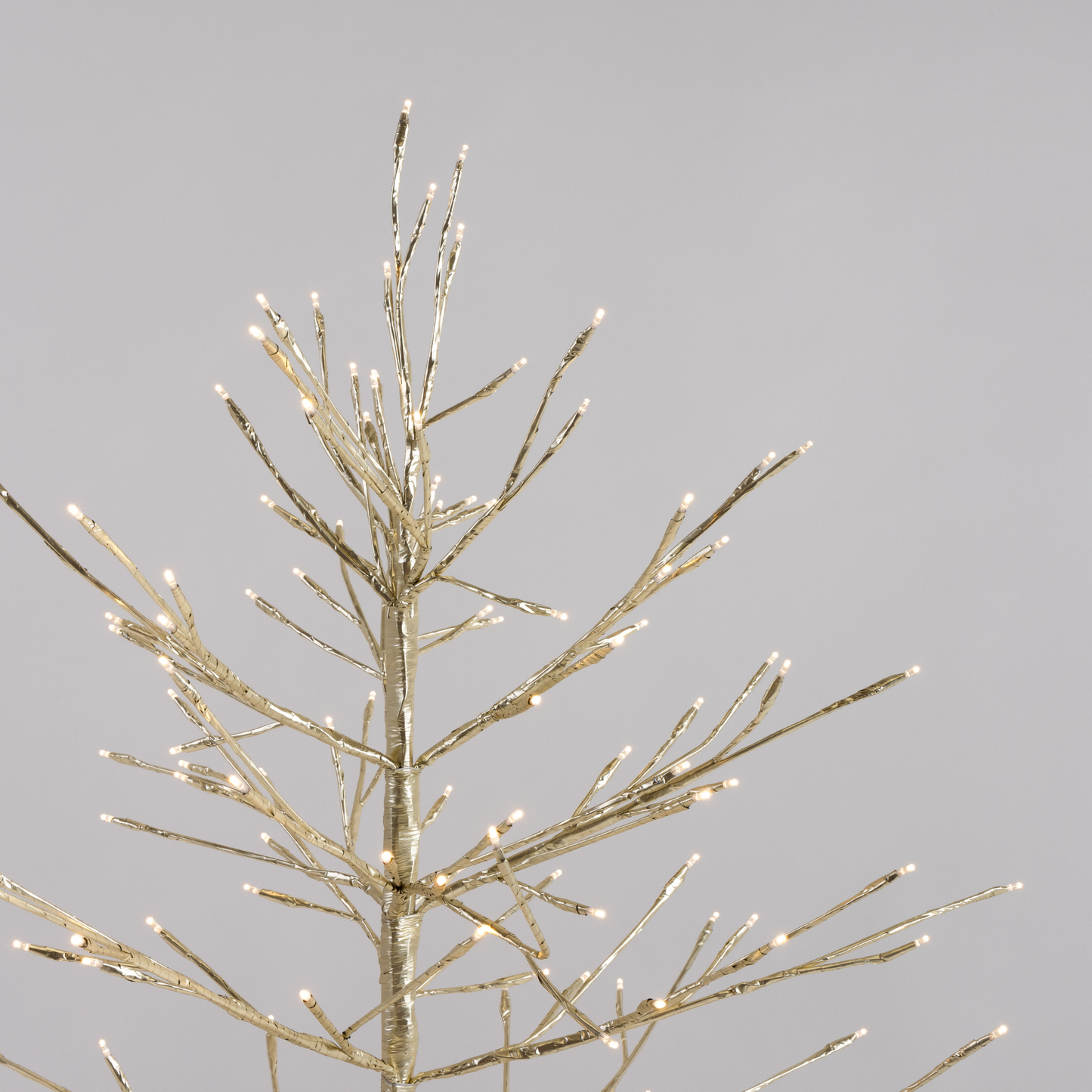 Champagne Twig Tree