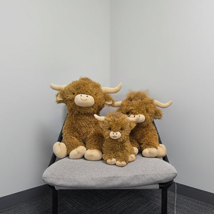 Sully the Highland Cow - Medium