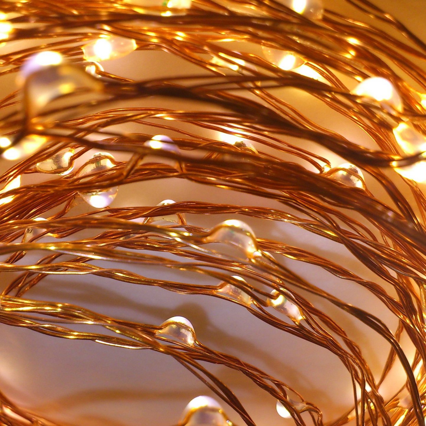 10m Copper WW AA 100 LED Seed Light String