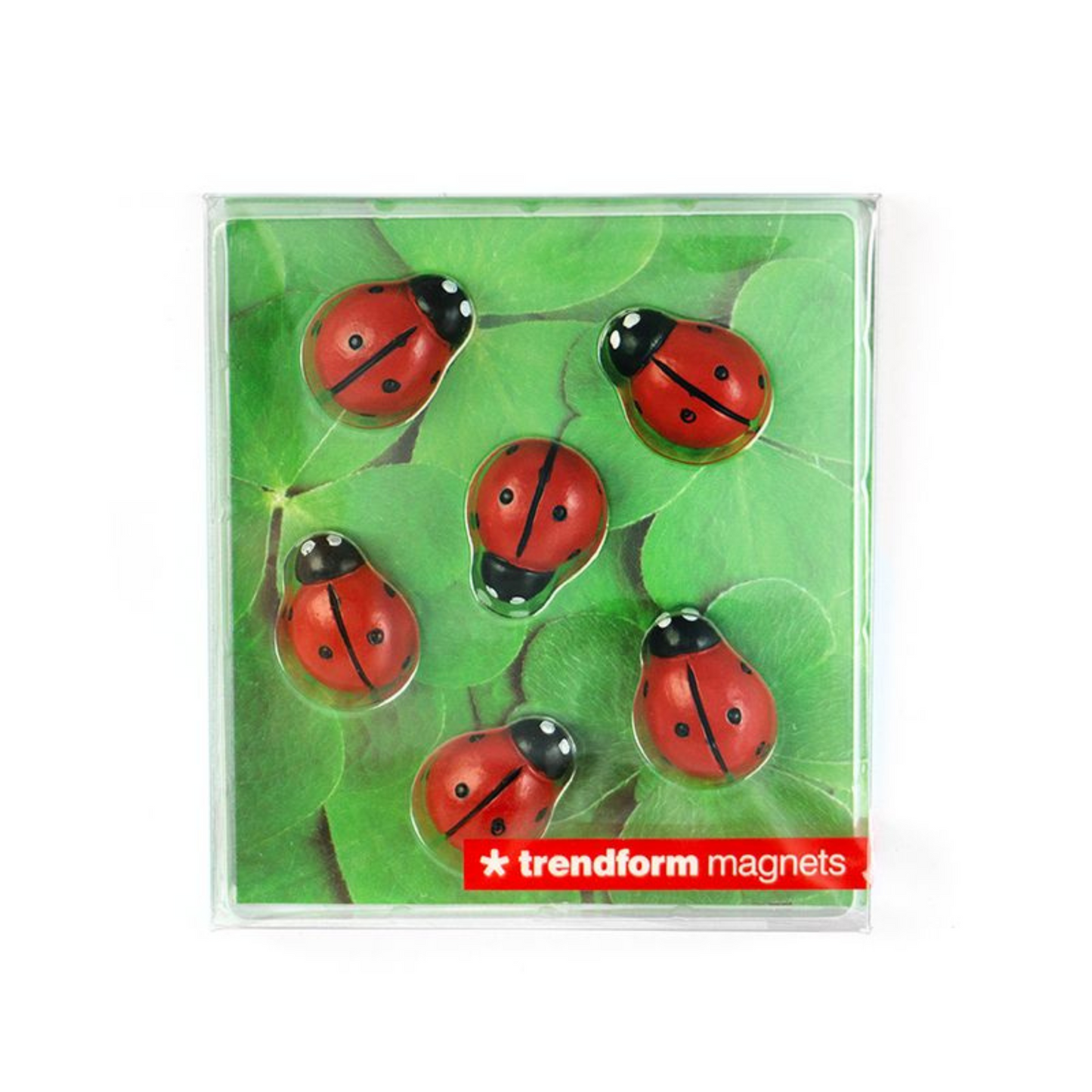 Ladybug Magnets (set of 6)