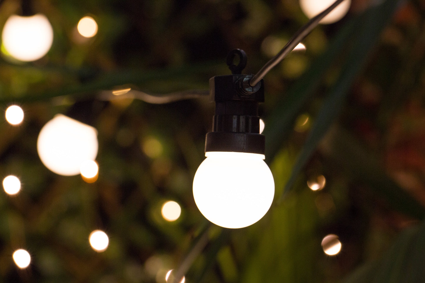 Frosted 10m Black Extendable WW LED Festoons