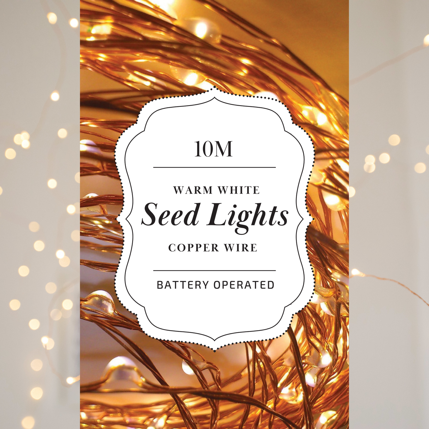 10m Copper WW AA 100 LED Seed Light String