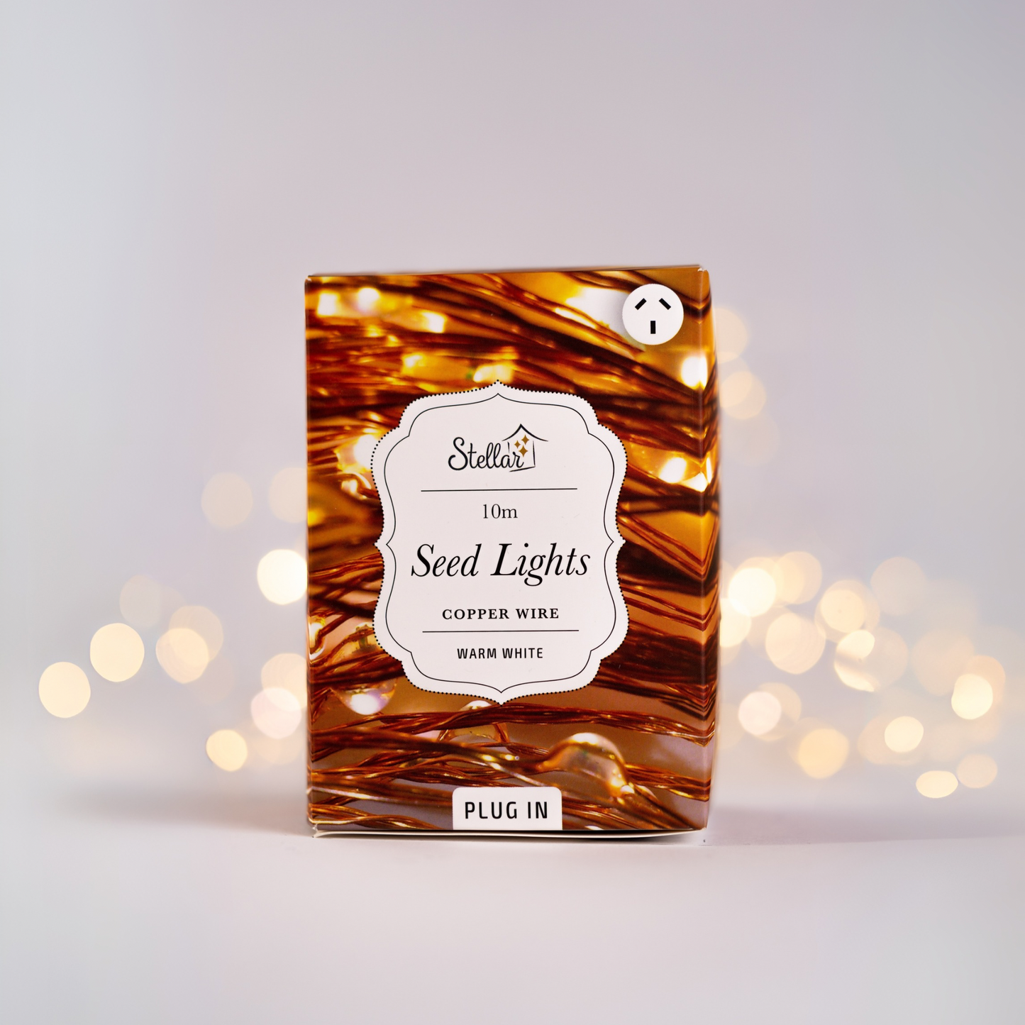 10m Plug In Copper WW 100 LED Seed Light String