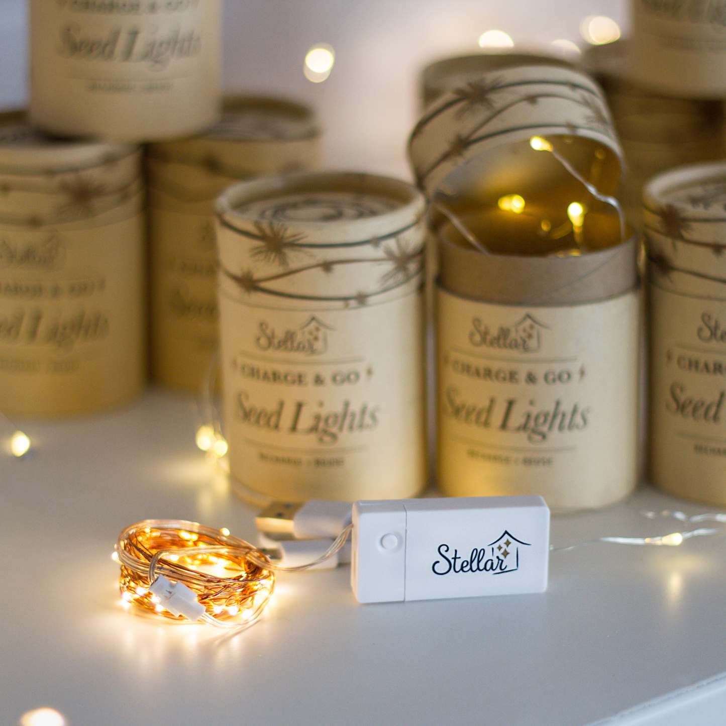 Charge & Go. Rechargeable Copper Wire Seed Lights