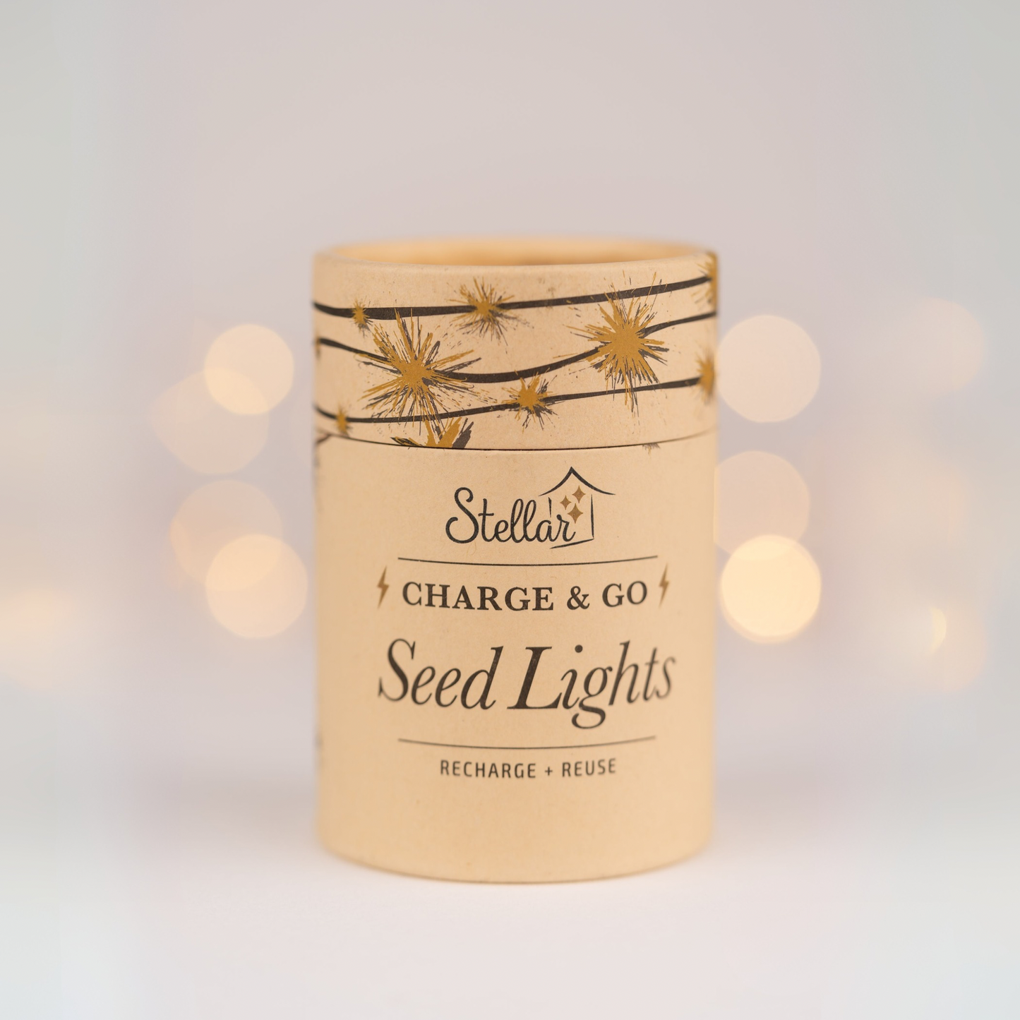 Charge & Go. Rechargeable Silver Wire Seed Lights