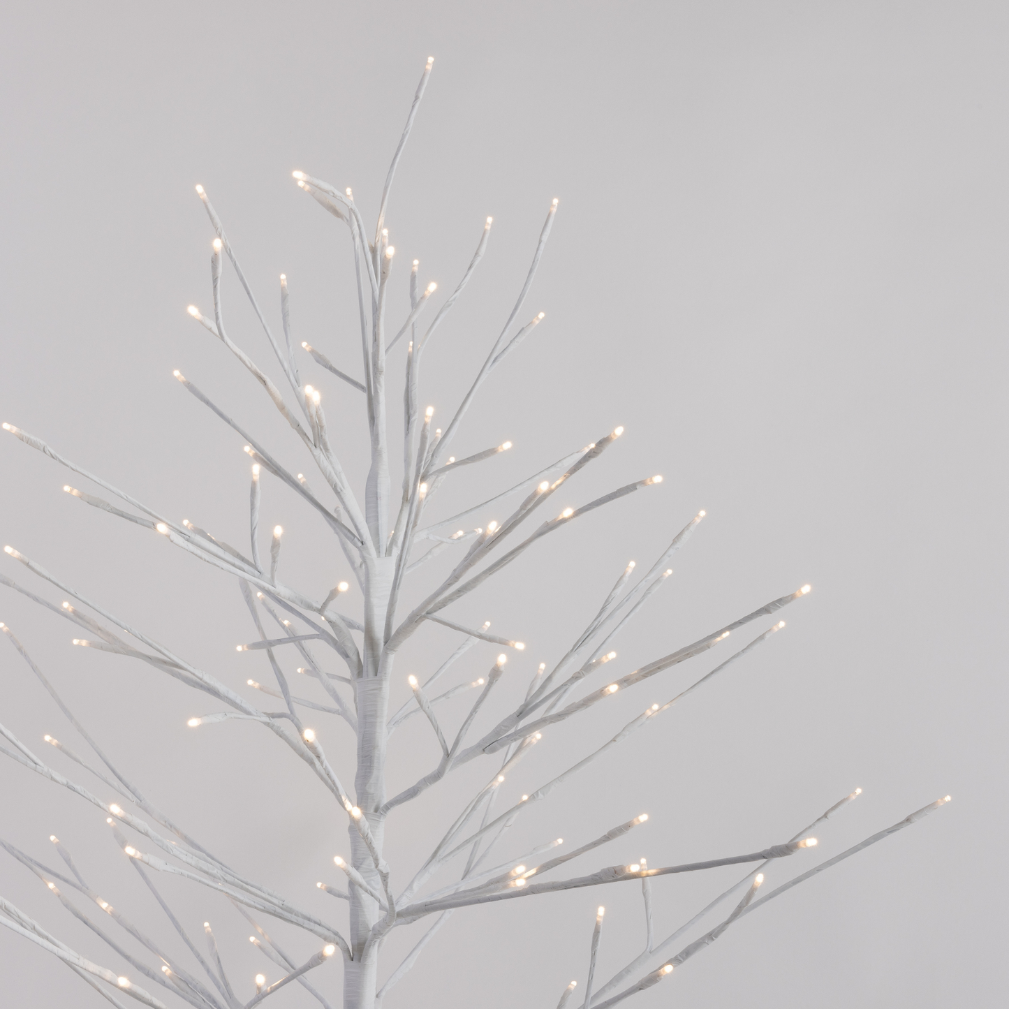 White Twig Tree