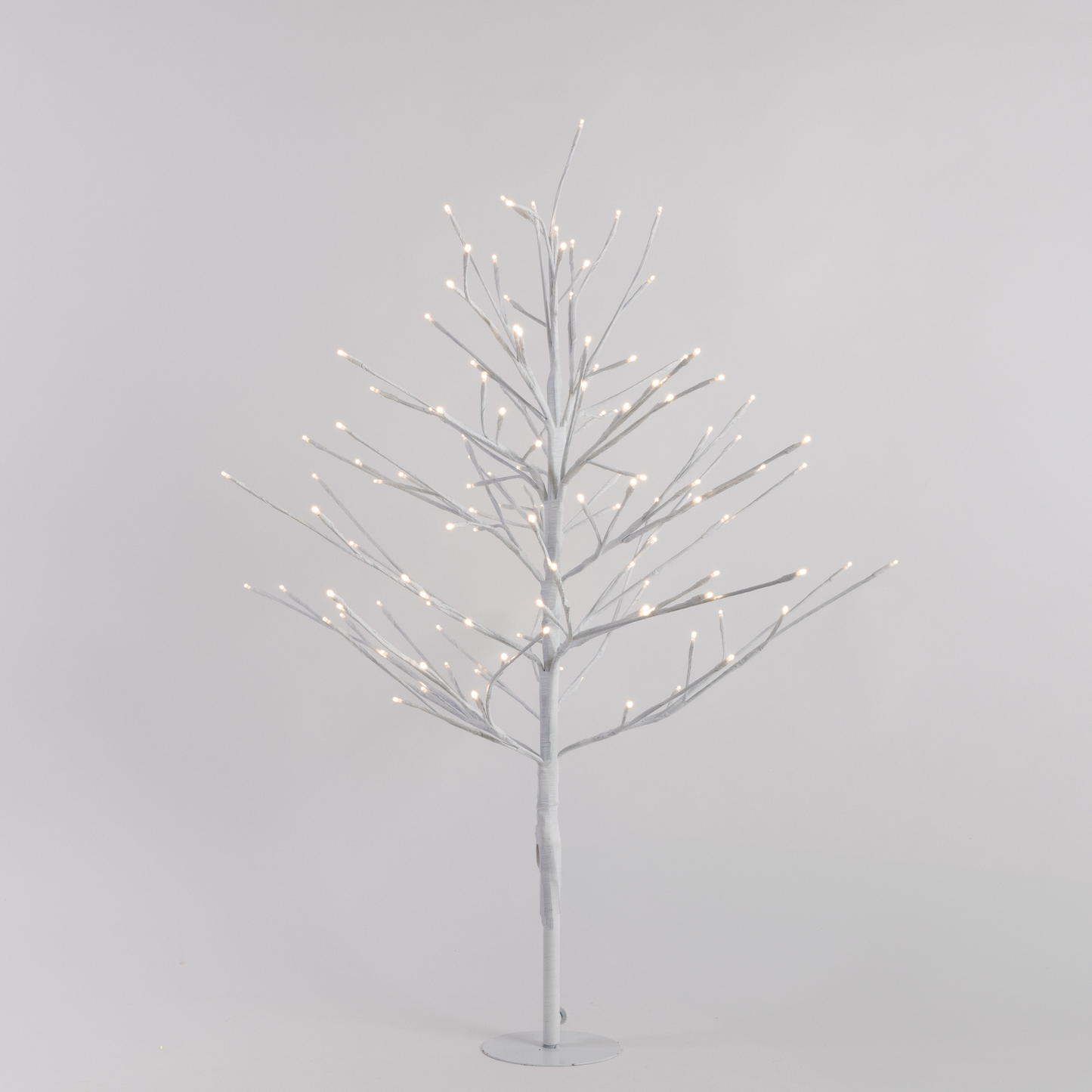 White Twig Tree